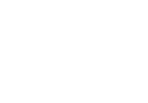 VALINO TIRES