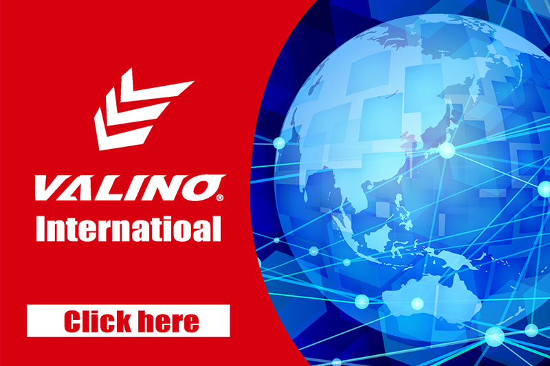 VALINO INTERNATIONAL
