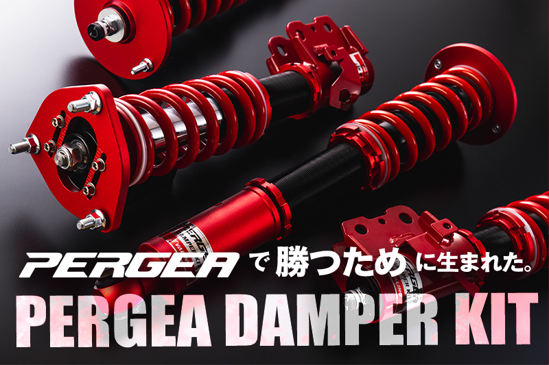 PERGEA DAMPER KIT